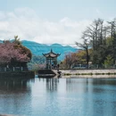 宁波旅游 缩略图 10