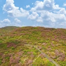 宁波旅游 缩略图 3