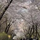 北京旅游 缩略图 1