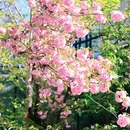 北京旅游 缩略图 9