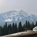 伊犁旅游 缩略图 4