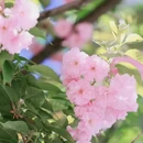北京旅游 缩略图 3