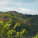 宁波旅游 缩略图 5
