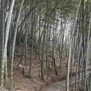 黄冈旅游 缩略图 11