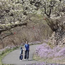 北京旅游 缩略图 1