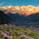 林芝旅游 缩略图 1