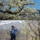 北京旅游 缩略图 14