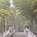 黄冈旅游 缩略图 12