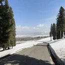 伊犁旅游 缩略图 16