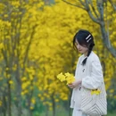 漳州旅游 缩略图 6