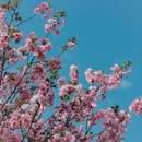 宁波旅游 缩略图 15