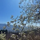 北京旅游 缩略图 12