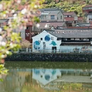 宁波旅游 缩略图 11
