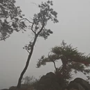 黄冈旅游 缩略图 8