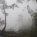 黄冈旅游 缩略图 10