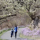北京旅游 缩略图 4