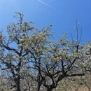 北京旅游 缩略图 10
