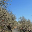 北京旅游 缩略图 13