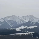 伊犁旅游 缩略图 7