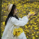 漳州旅游 缩略图 3