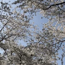 北京旅游 缩略图 7