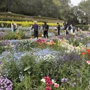 上海旅游 缩略图 9