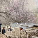 喀什地区旅游 缩略图 5