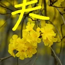 漳州旅游 缩略图 11