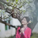 龙岩旅游 缩略图 4