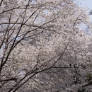 北京旅游 缩略图 4