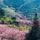 漳州旅游 缩略图 3