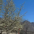 北京旅游 缩略图 11