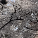 北京旅游 缩略图 10