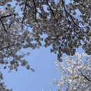 北京旅游 缩略图 9
