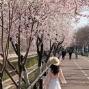 沈阳旅游 缩略图 5