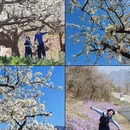 北京旅游 缩略图 5