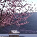 漳州旅游 缩略图 2