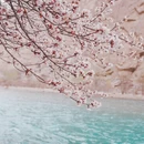 喀什地区旅游 缩略图 3