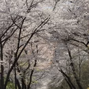 北京旅游 缩略图 6