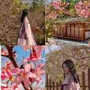 漳州旅游 缩略图 1