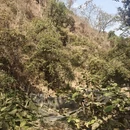 保山旅游 缩略图 8