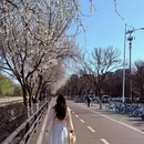 沈阳旅游 缩略图 7
