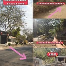 保山旅游 缩略图 4