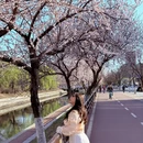 沈阳旅游 缩略图 6