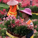 漳州旅游 缩略图 1