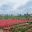 漳州旅游 缩略图 2