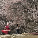 喀什地区旅游 缩略图 1