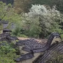 宁德旅游 缩略图 3