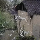 宁德旅游 缩略图 5