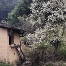 宁德旅游 缩略图 17